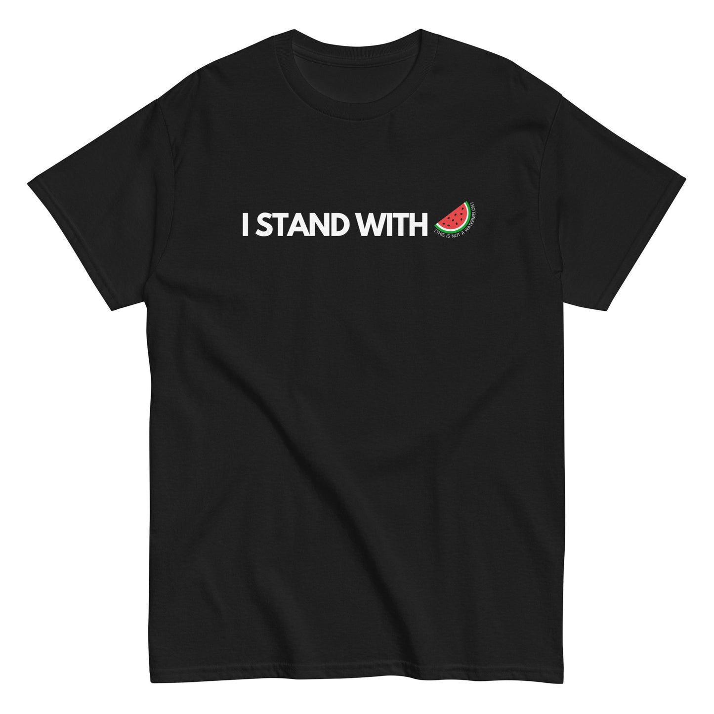 Solidarity Slice Palestine Watermelon Tee