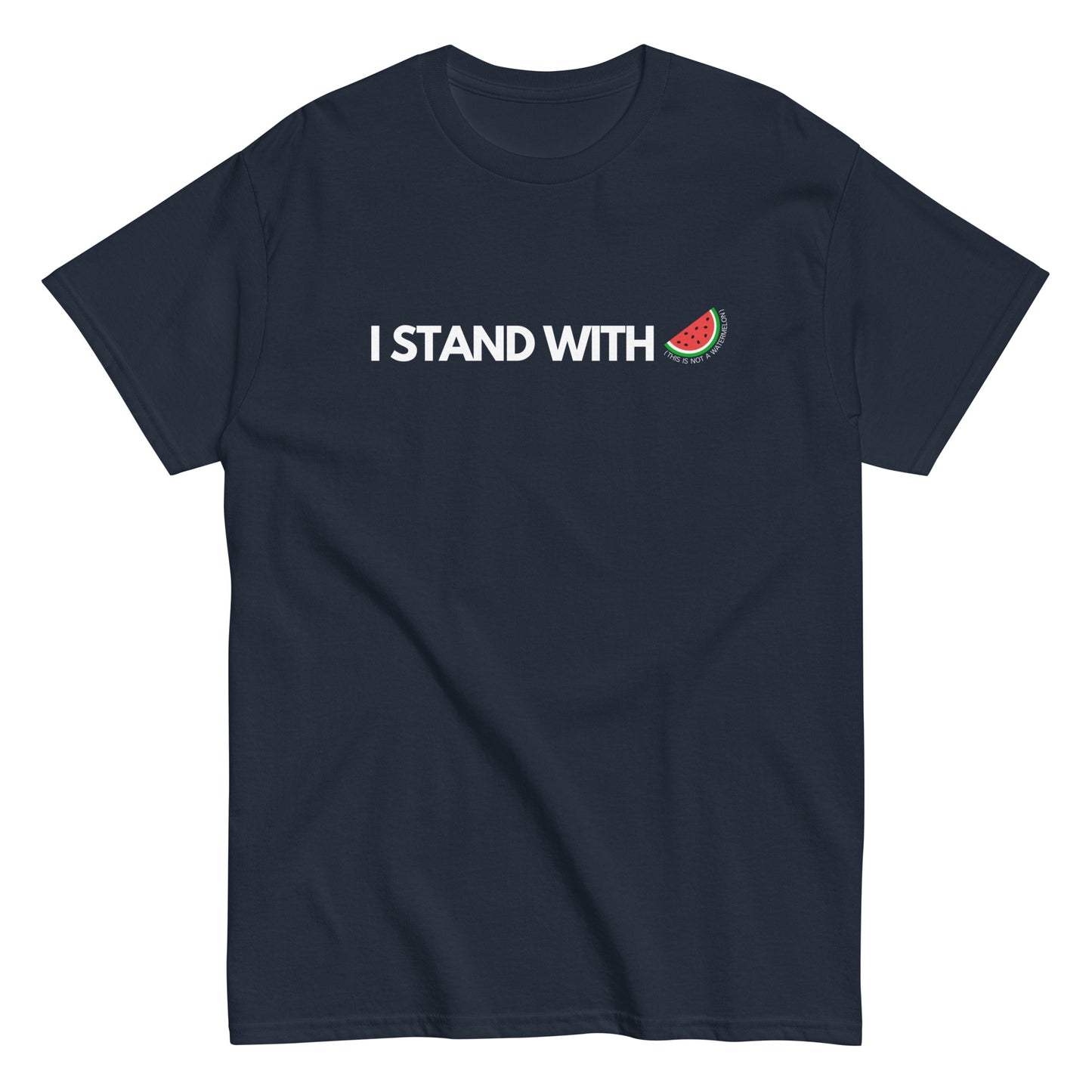 Solidarity Slice Palestine Watermelon Tee